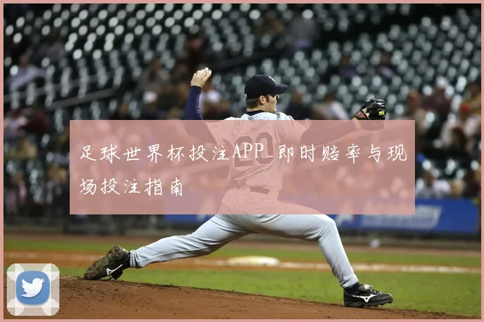 足球世界杯投注APP_即时赔率与现场投注指南