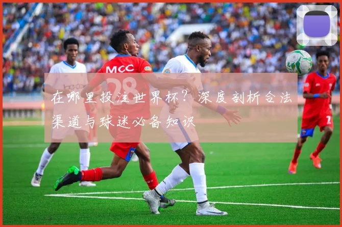 在哪里投注世界杯？深度剖析合法渠道与球迷必备知识