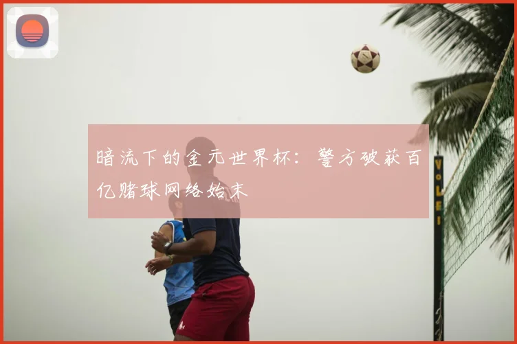 暗流下的金元世界杯：警方破获百亿赌球网络始末