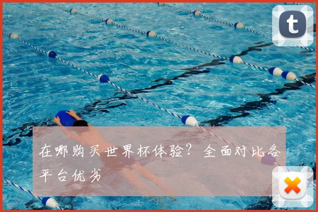 在哪购买世界杯体验？全面对比各平台优劣