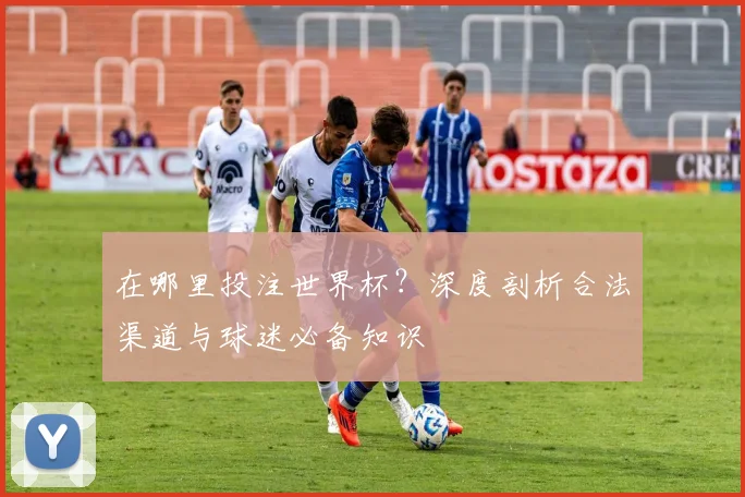 在哪里投注世界杯？深度剖析合法渠道与球迷必备知识