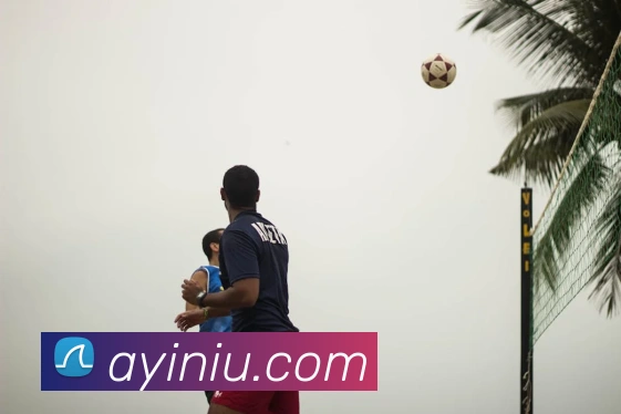 百盈体育平台生态图